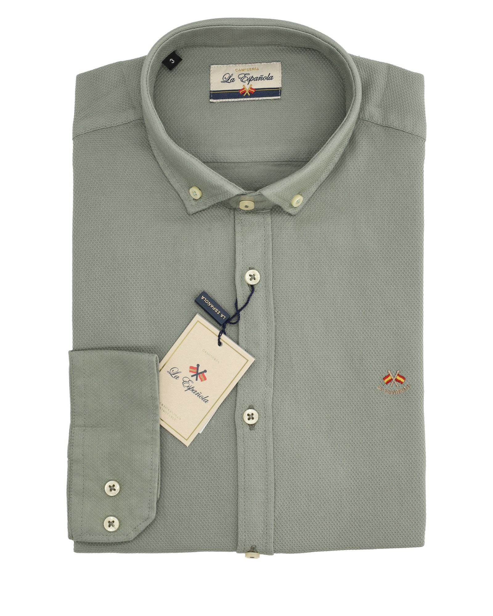 Camisa algodón falso liso cuello botón serie 56603 verde